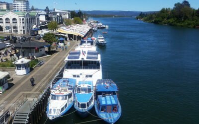 Blogueros de AChileTB participan en viaje de prensa a Valdivia